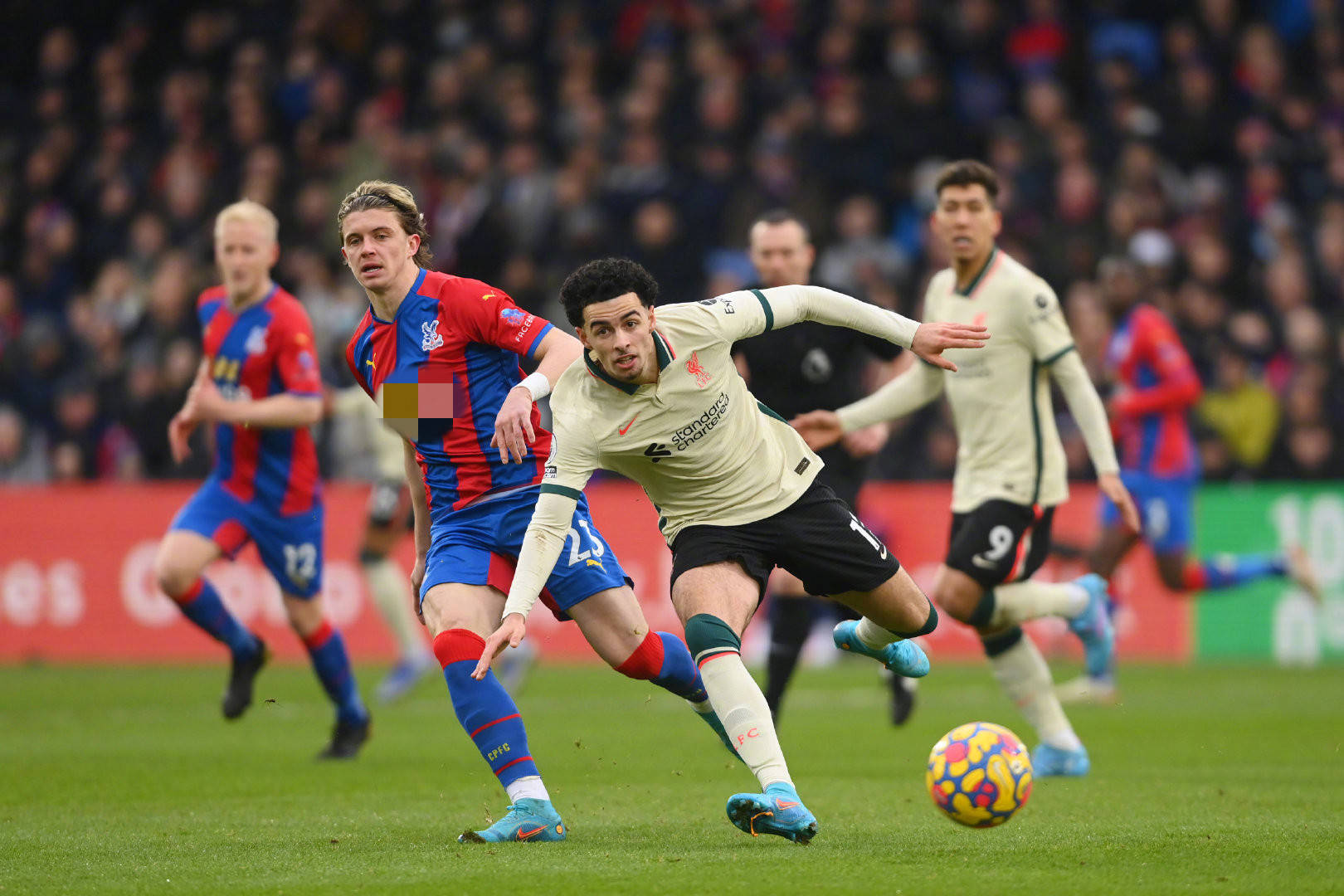 找到最适合 找到最适合